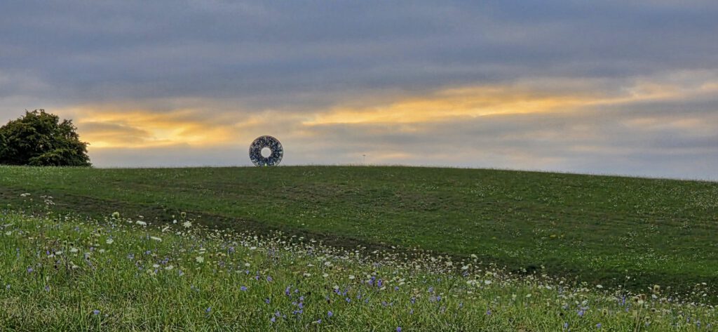 AIRIS auf der Hügelkuppe unter Abendwolken, Wiesenblumen im Vordergrund